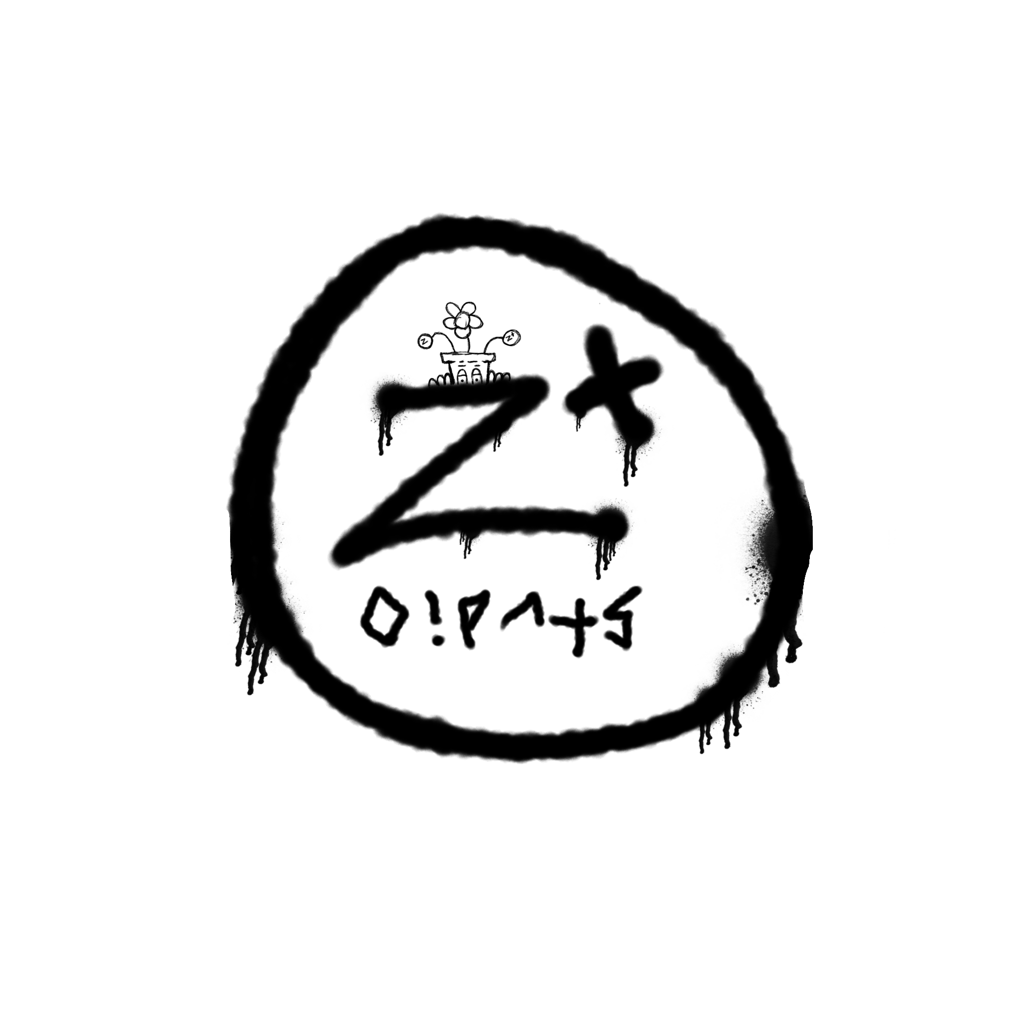 ztstudio